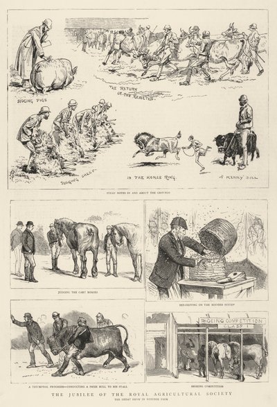 The Jubilee of the Royal Agricultural Society by Alfred Chantrey Corbould